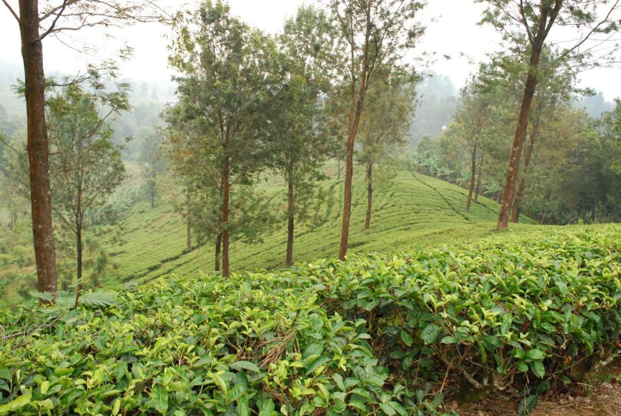 Wildan Homestay Mangun Buitenkant foto
